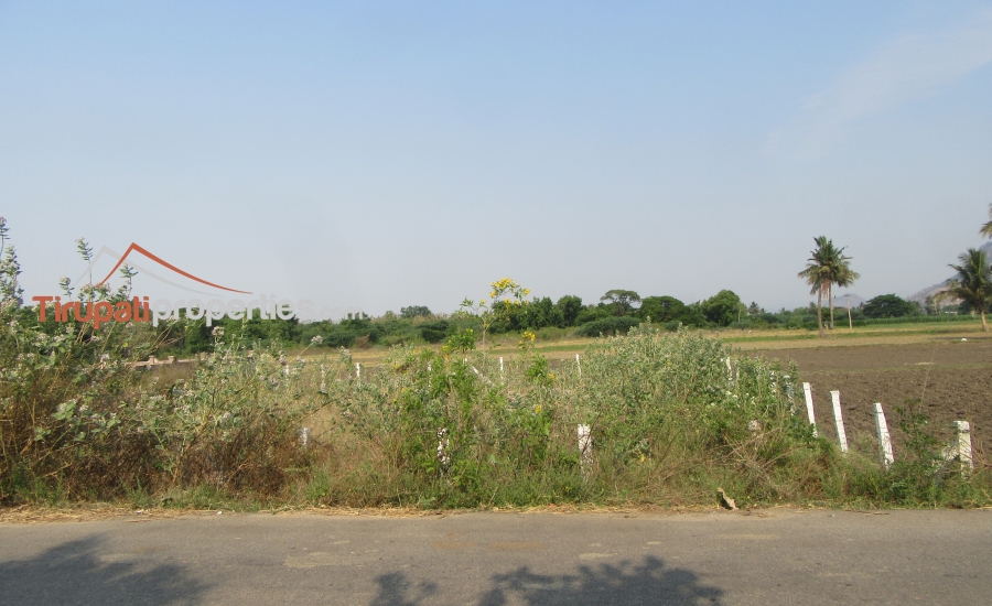 158 Anks West Facing #CommercialLand for Sale Near Nennoor, #Tirupati
